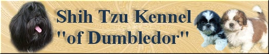 Shih Tzu Kennel 
