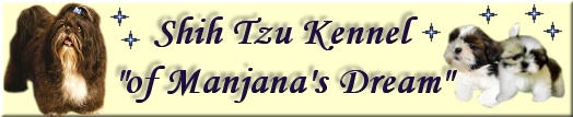 Shih Tzu Kennel of Manjana's Dream